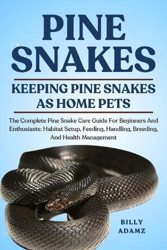 Pine Snakes