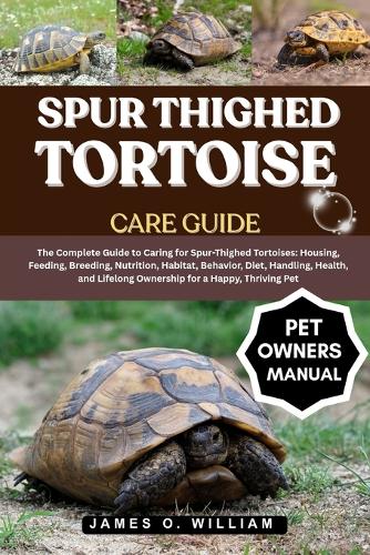 Spur Thighed Tortoise Care Guide