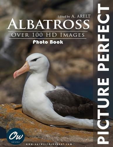 Albatross