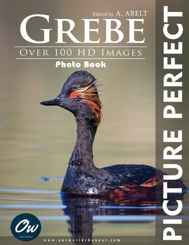 Grebe