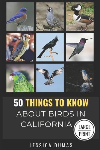 50 Things to Know About Birds in California Large Print