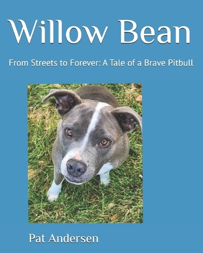 Willow Bean