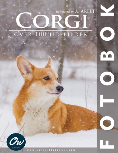 Corgi