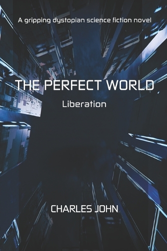 The Perfect World