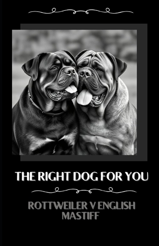 The right dog for you Rottweiler v English Mastiff