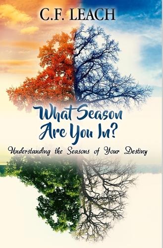 What Season Are You In?