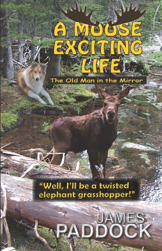 A Moose Exciting Life