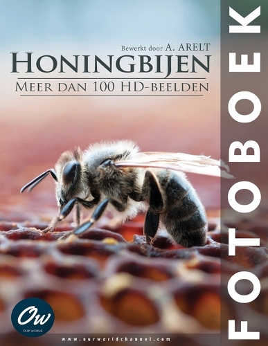 Honingbijen