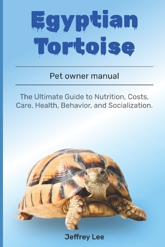 Egyptian tortoise