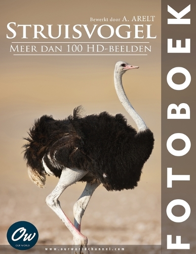 Struisvogel