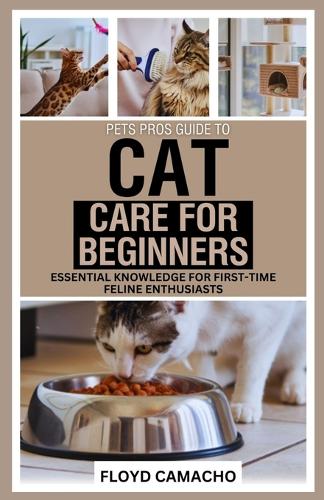 PetsPros Guide to Cat Care for Beginners