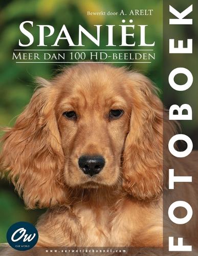 Spaniël