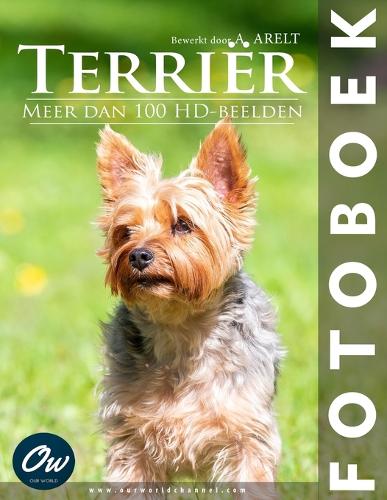 Terriër