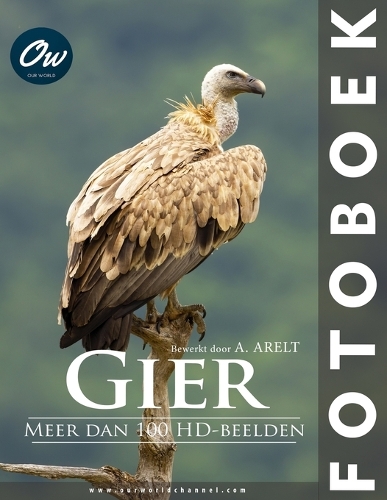 Gier
