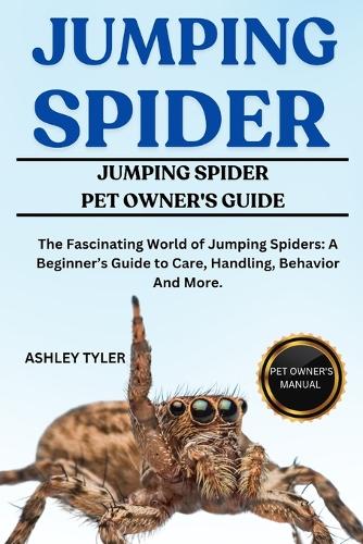 Jumping Spider