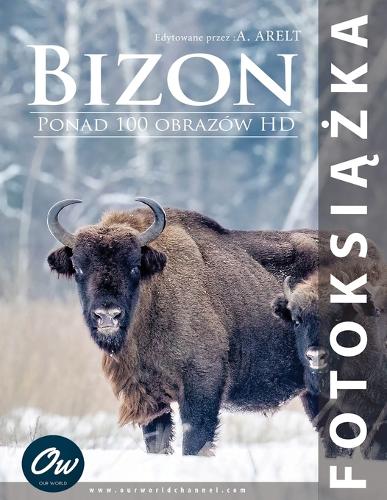 Bizon