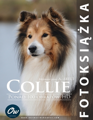 Collie