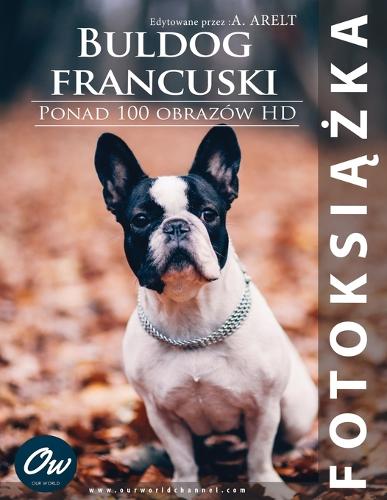 Buldog francuski
