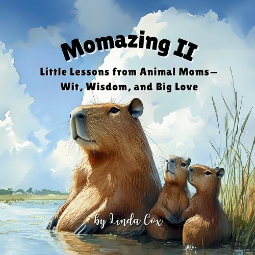 Momazing II