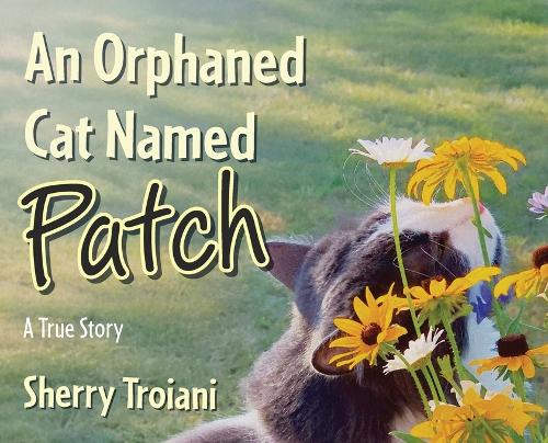 An Orphaned Cat Named Patch