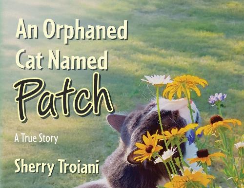 An Orphaned Cat Named Patch