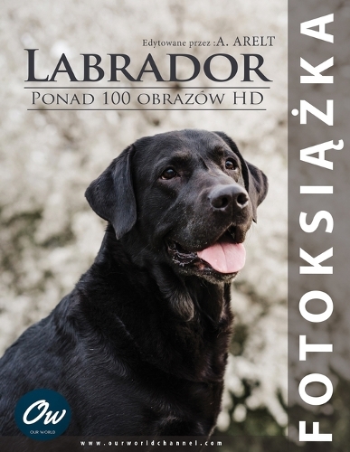 Labrador