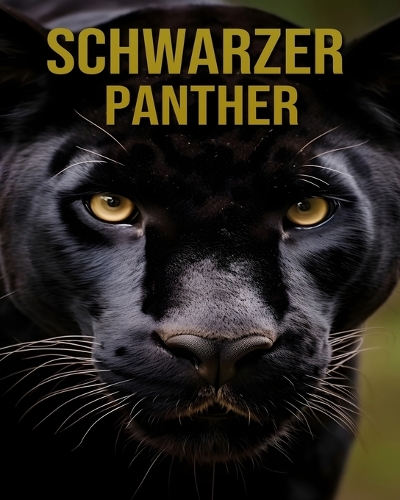 Schwarzer Panther