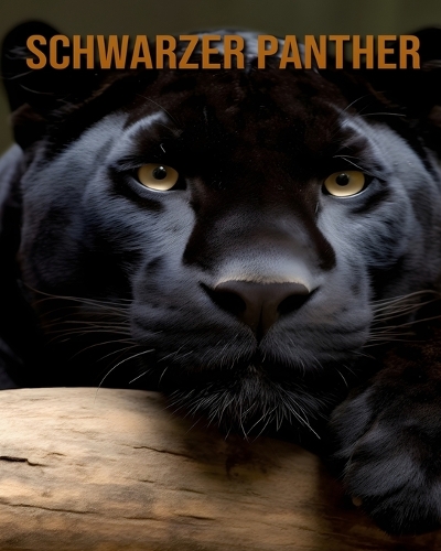 Schwarzer Panther