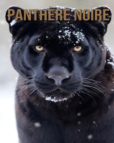 Panthère Noire