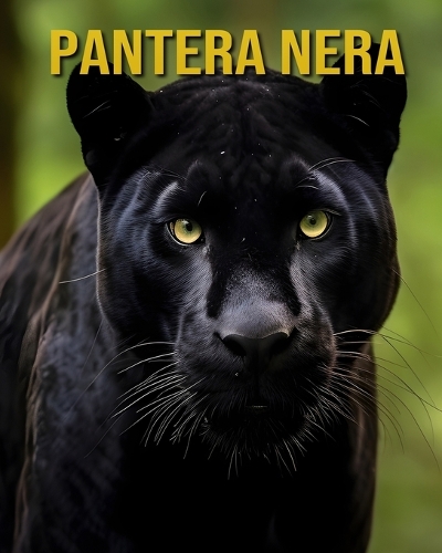 Pantera nera