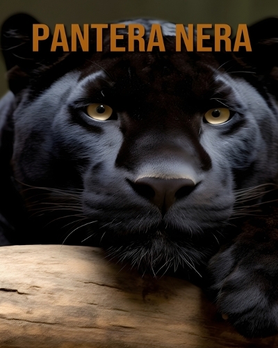 Pantera nera