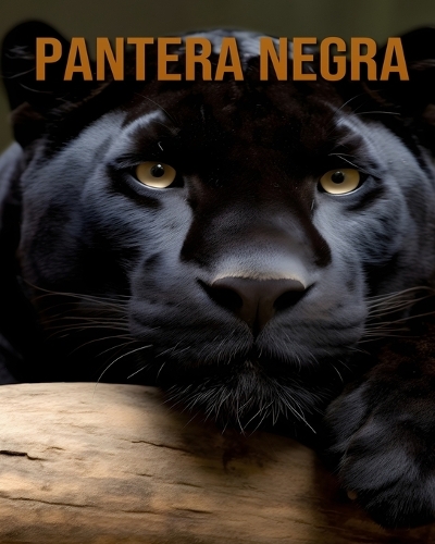 Pantera Negra