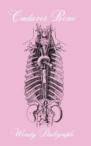 Cadaver Bone