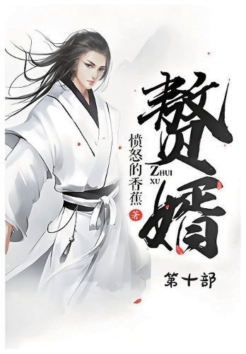 赘婿:第十部