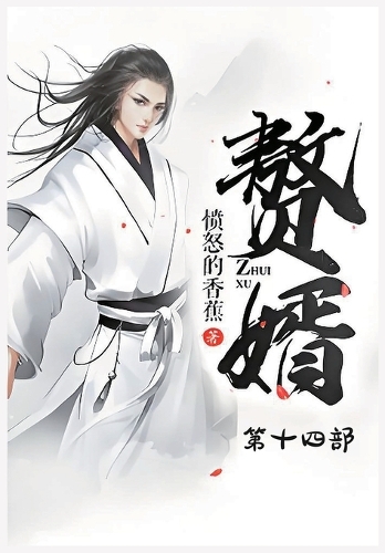 赘婿:第十四部