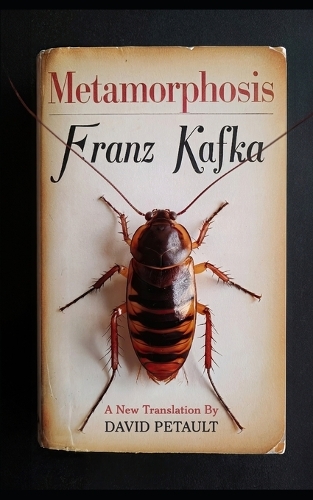 Metamorphosis