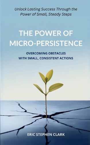 The Power of Micro-Persistence