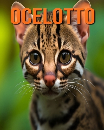 Ocelotto
