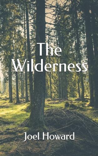 The Wilderness