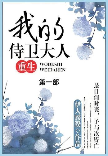 我的侍卫大人第一部