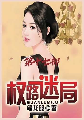 权路迷局:第十七部