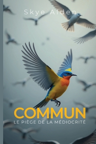 Average / Commun