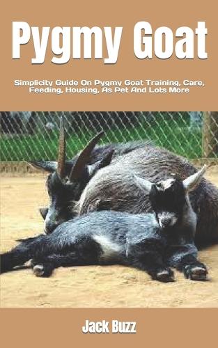 Pygmy Goat