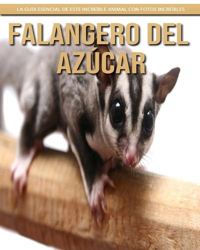 Falangero del azucar