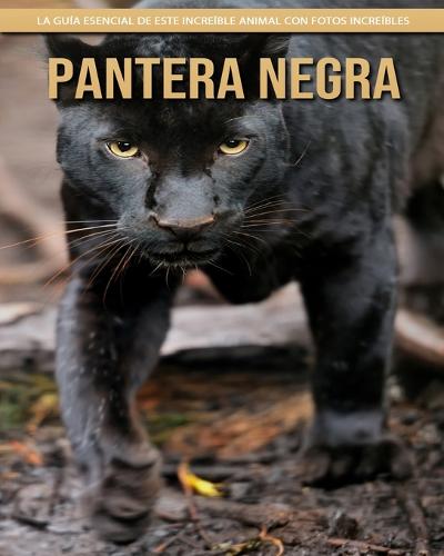 Pantera negra