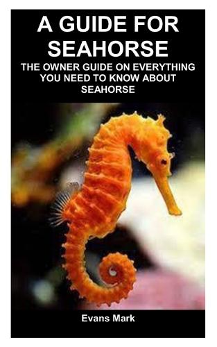 A guide for seahorse
