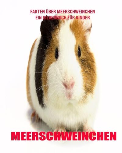 Meerschweinchen