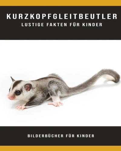 Kurzkopfgleitbeutler