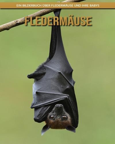 Fledermause