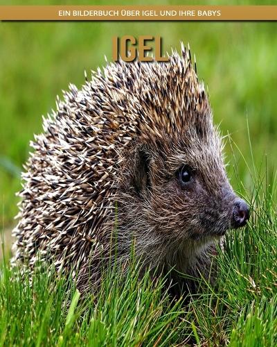 Igel